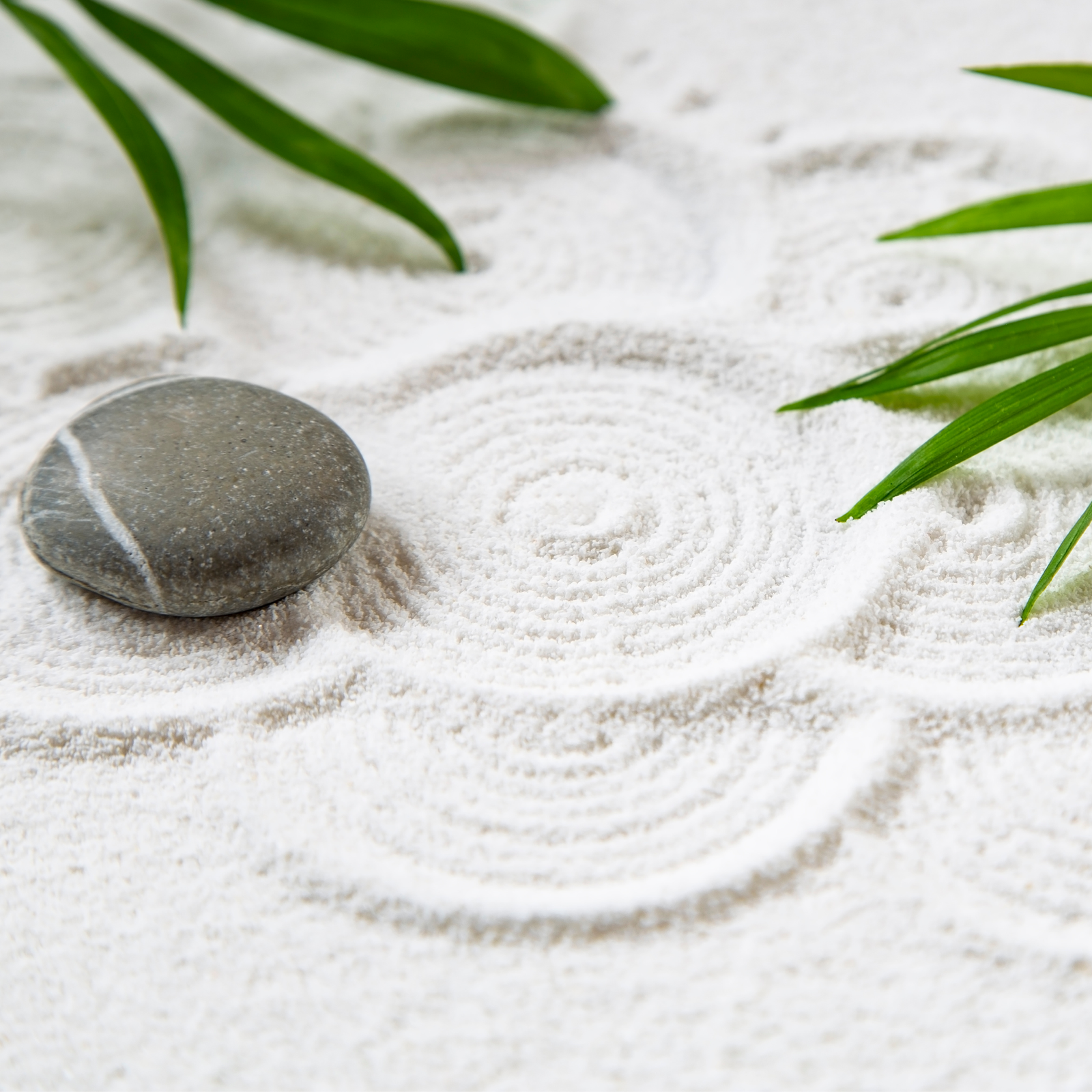 Discovering Balance and Well-being at The Reiki Life
